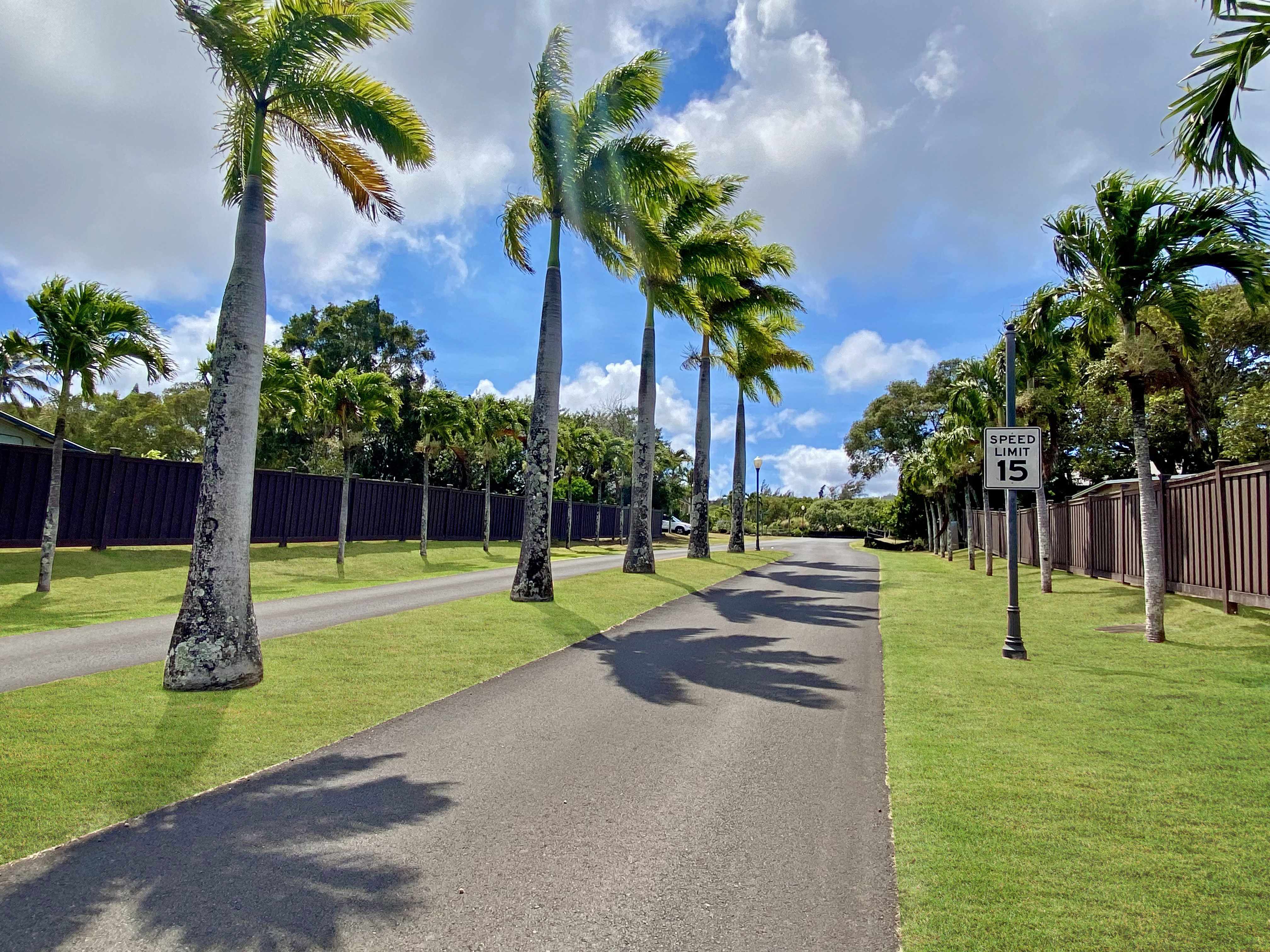 Kapaau, HI 96755,54-3705 LEHUULA CIRCLE