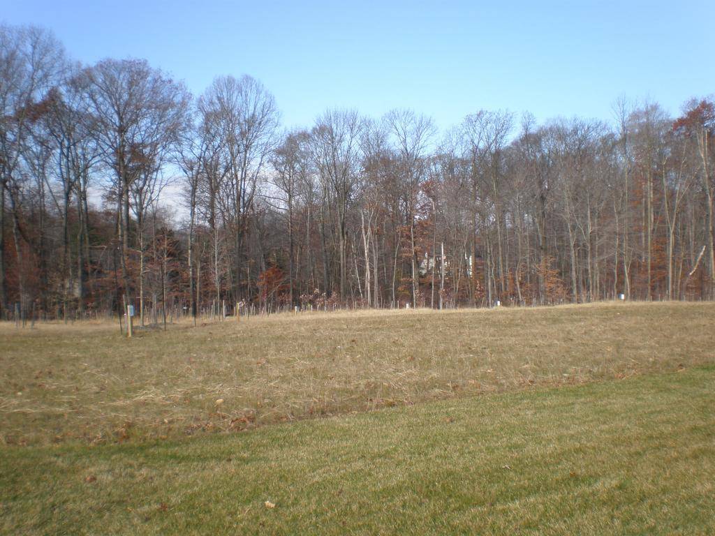 Springfield Twp., NJ 08060,2685 Route 206