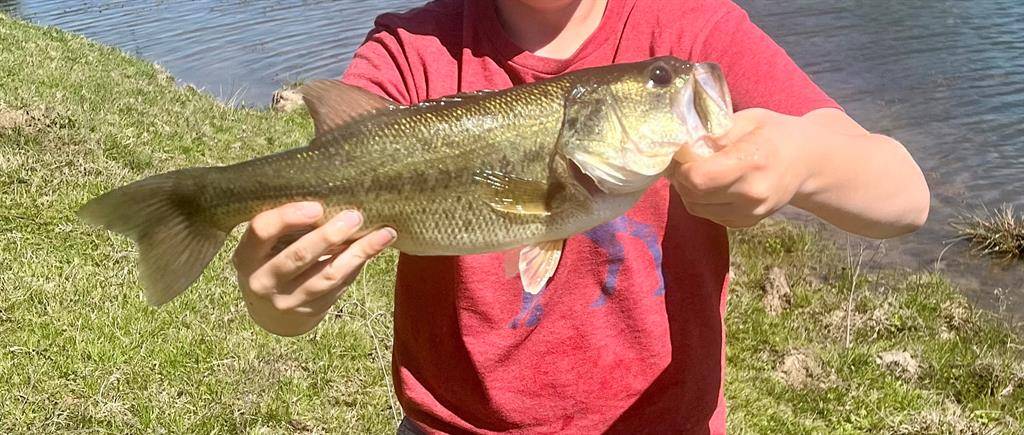 Talco, TX 75487,000 FM 71