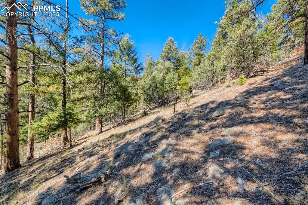 Conifer, CO 80433,0 Elsie RD