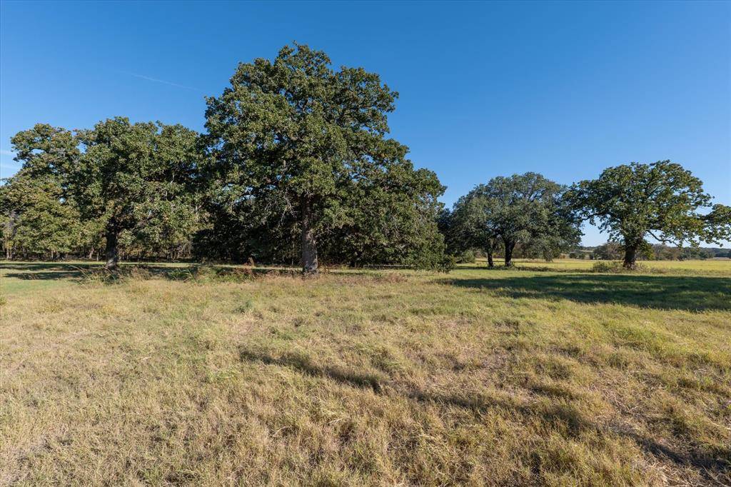 Tolar, TX 76476,10010 Horizon View