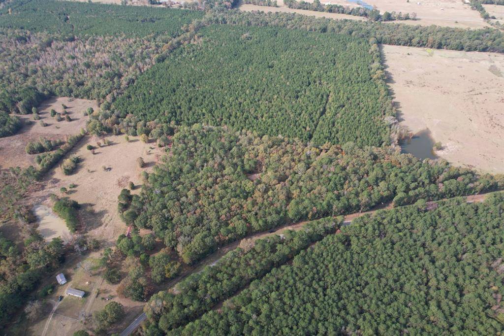 Waskom, TX 75692,TBD-A Boggy Road