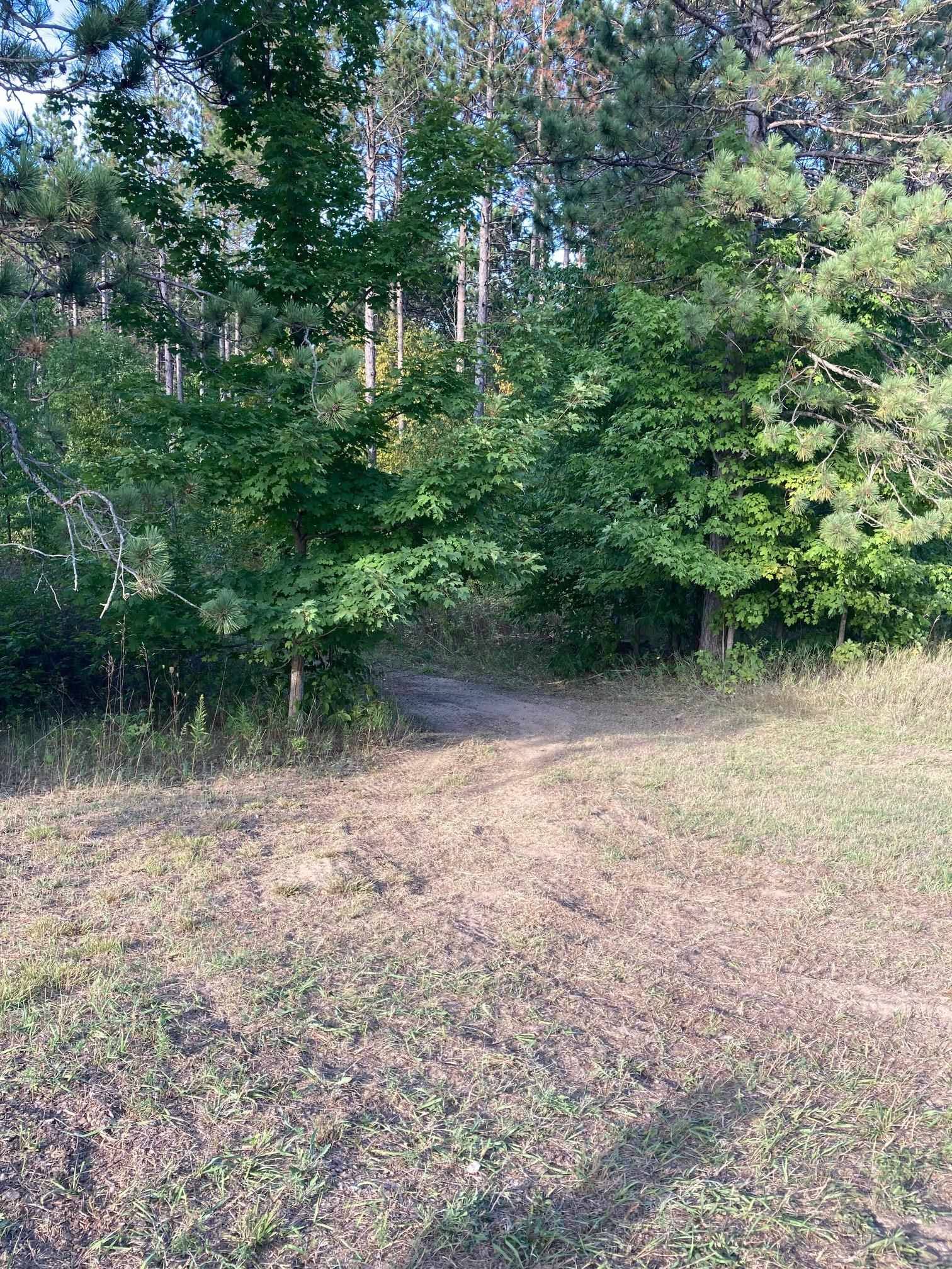 Rapid City, MI 49676,3372 NW Hill