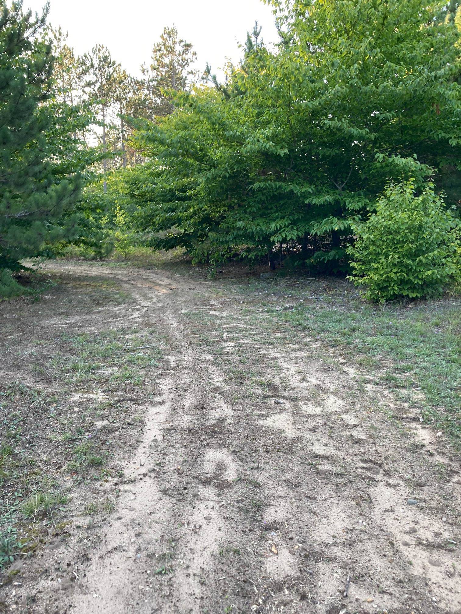 Rapid City, MI 49676,3372 NW Hill