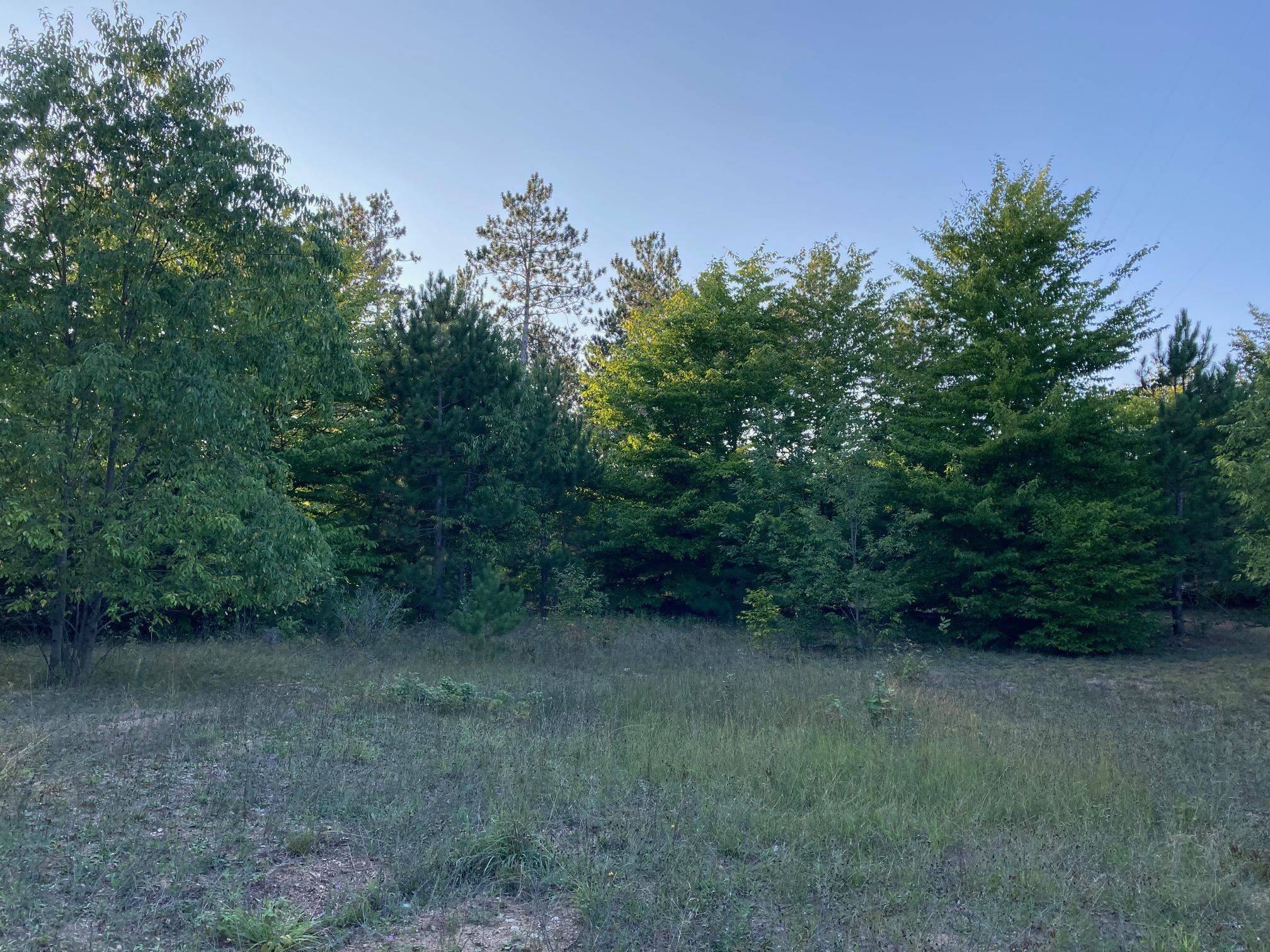 Rapid City, MI 49676,3372 NW Hill