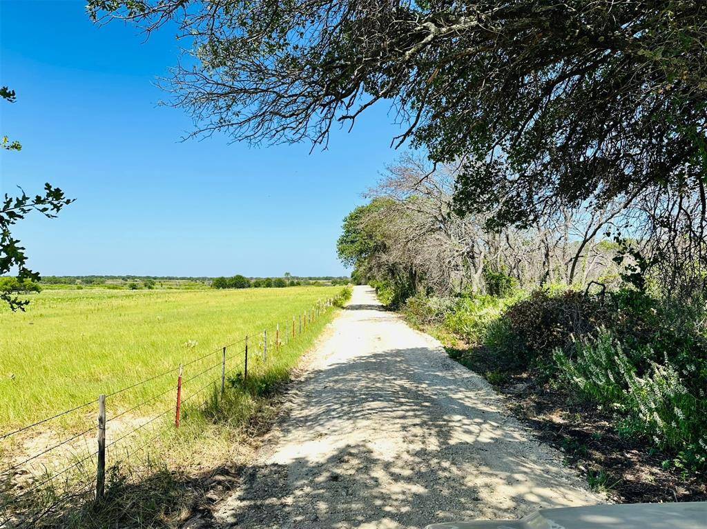 Rising Star, TX 76471,TBD Co Rd 216