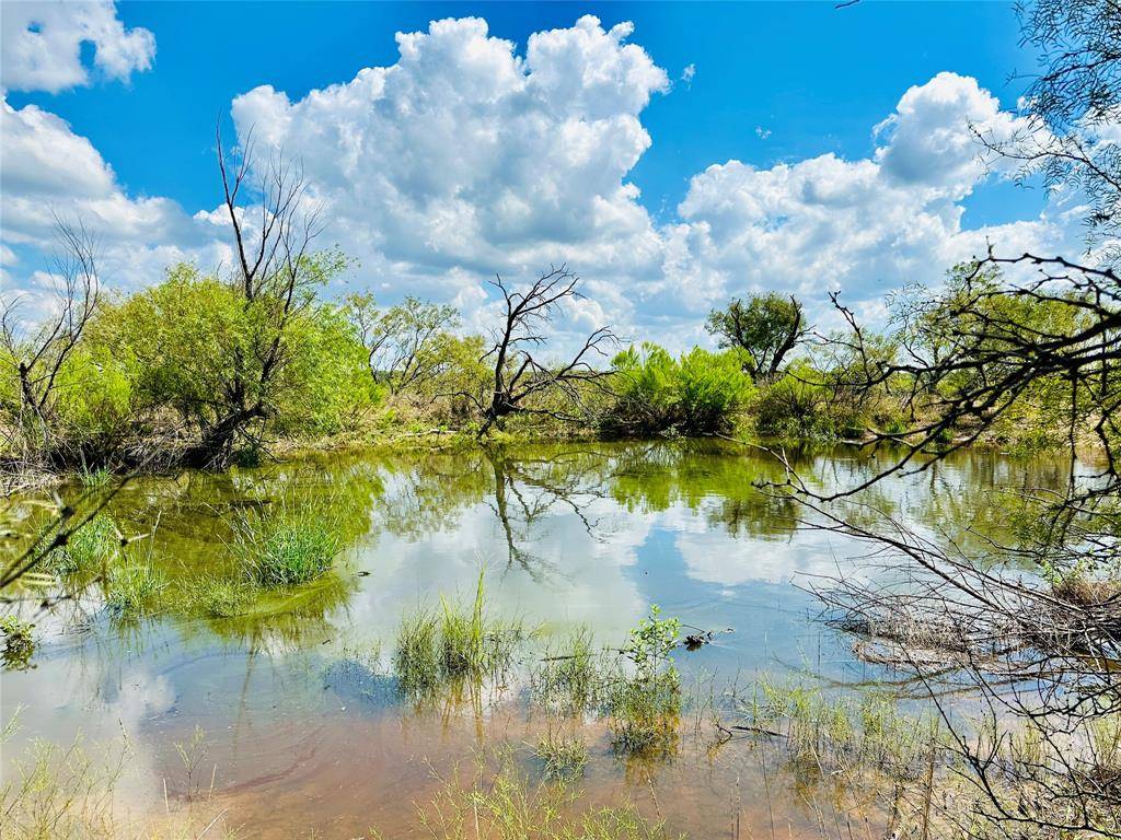Rising Star, TX 76471,TBD Co Rd 216