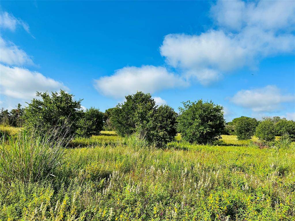 Rising Star, TX 76471,TBD Co Rd 216