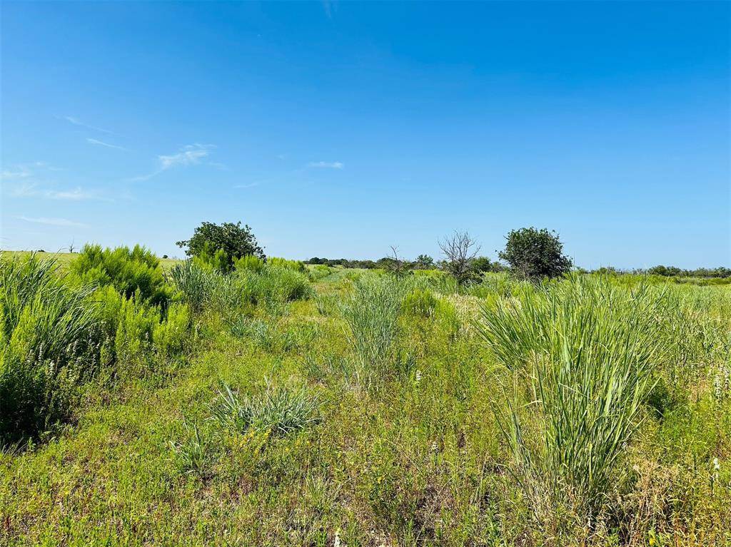 Rising Star, TX 76471,TBD Co Rd 216