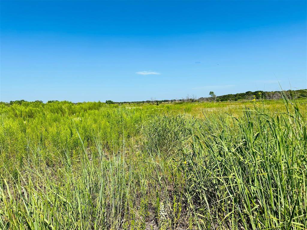 Rising Star, TX 76471,TBD Co Rd 216