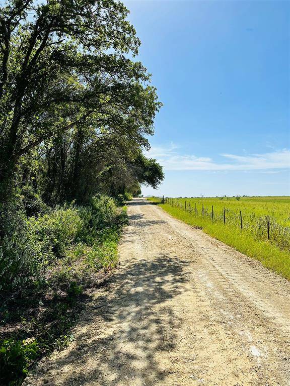 Rising Star, TX 76471,TBD Co Rd 216