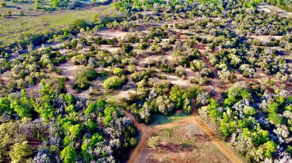 Jonesboro, TX 76538,3575 Fm 932