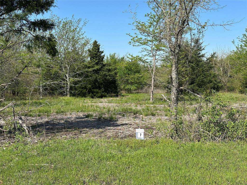 Honey Grove, TX 75446,Tract 7 Farm to Market 1743