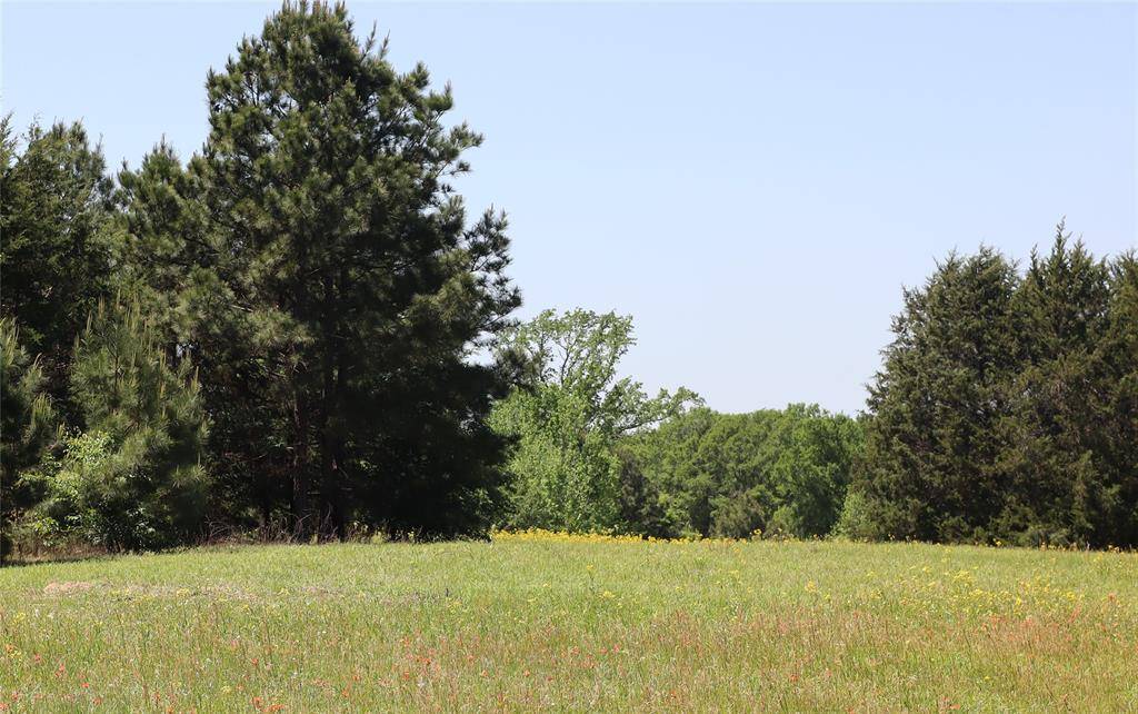 Chandler, TX 75758,19020 Hilltop Lot 4 FM 317