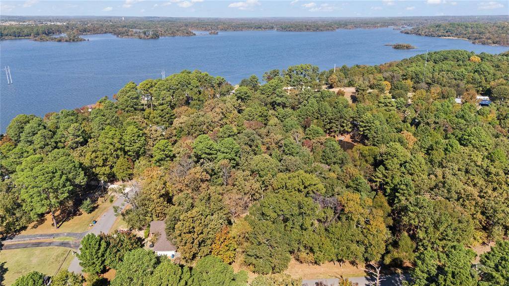 Flint, TX 75762,TBD Hickory Trail