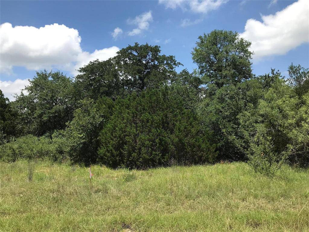 Palo Pinto, TX 76484,1190 N Lakeview Drive