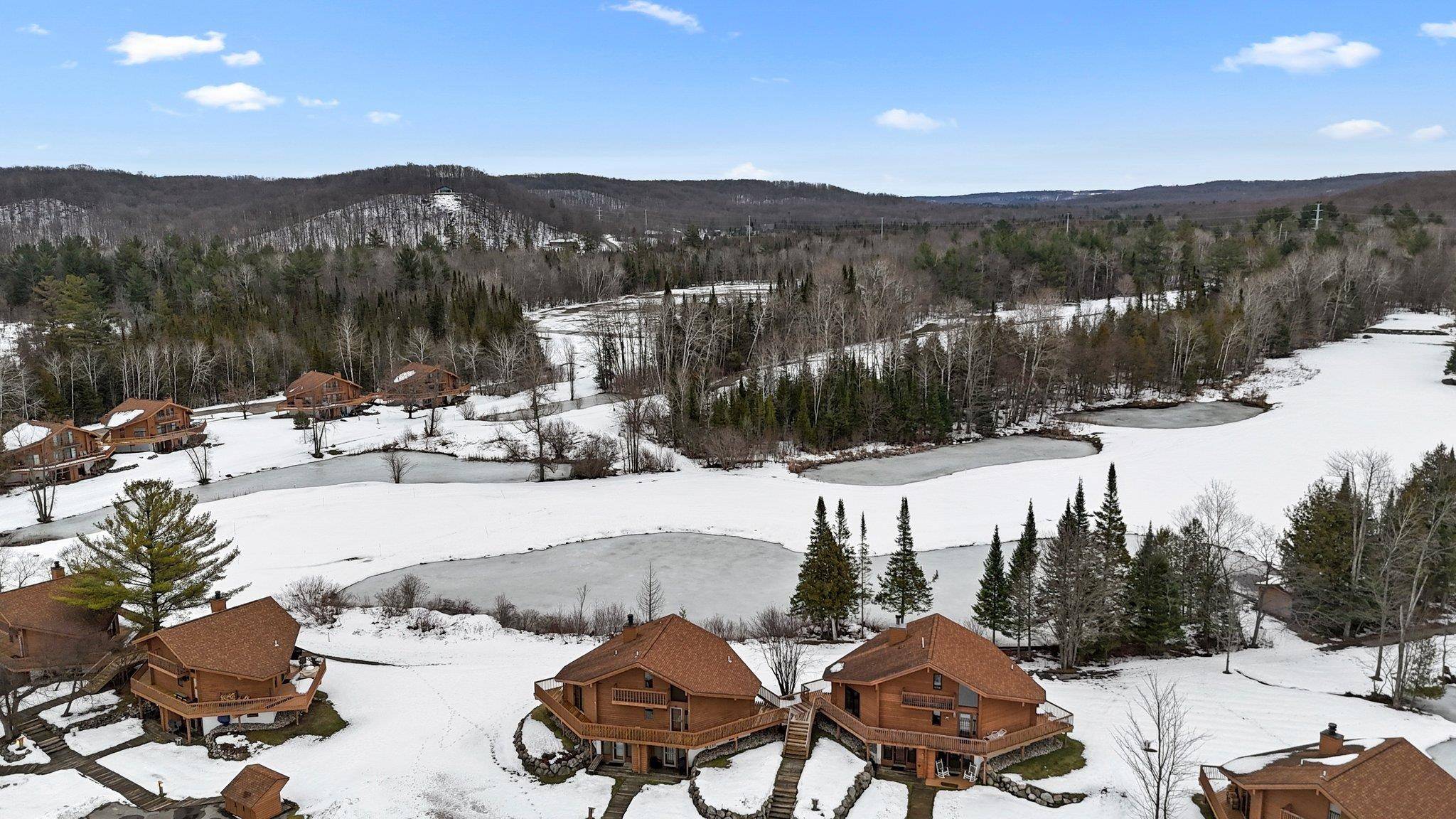 Mancelona, MI 49659,6601 Schuss Mountain LN