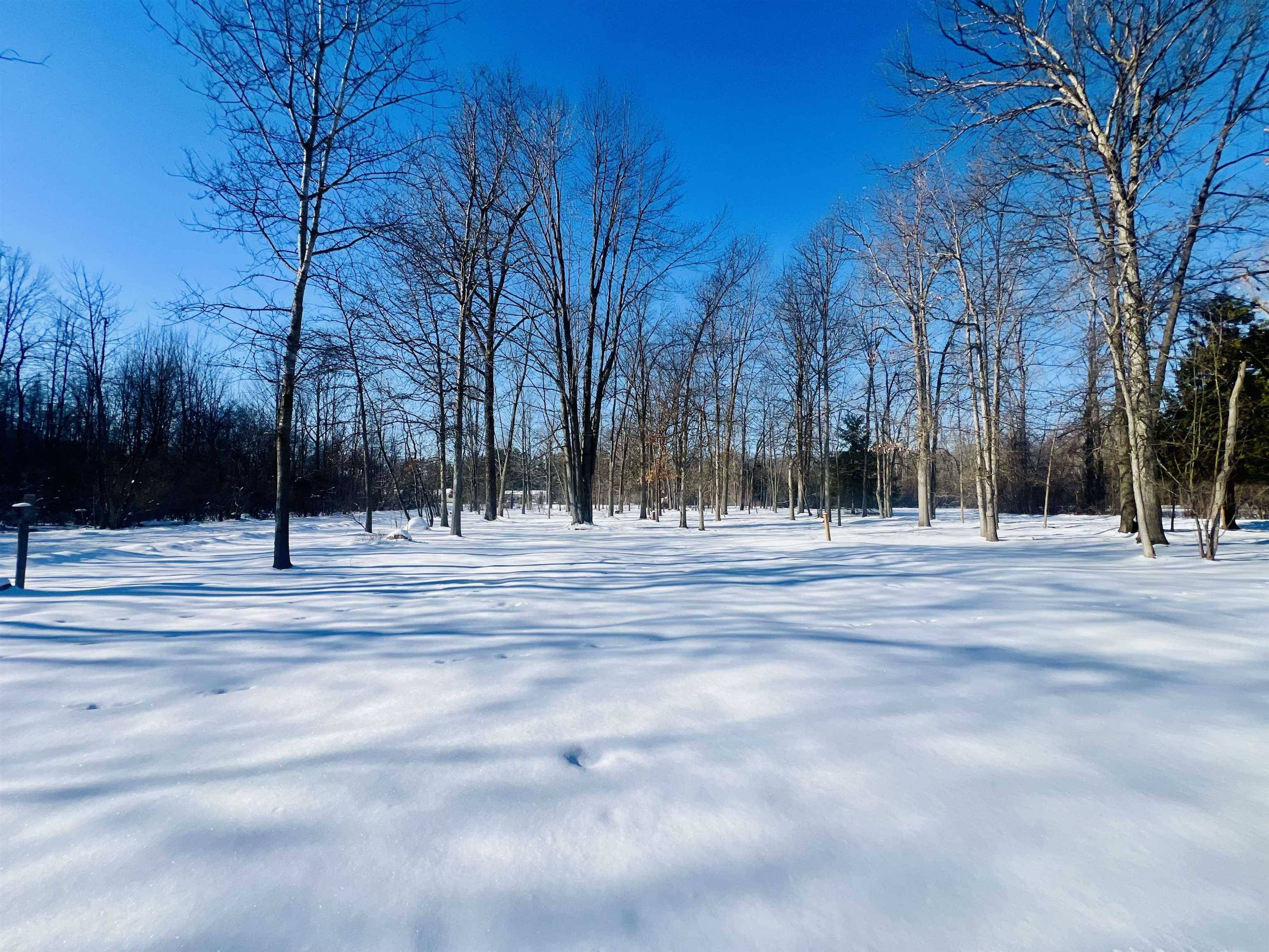 Bath, MI 48808,11003 Watson RD