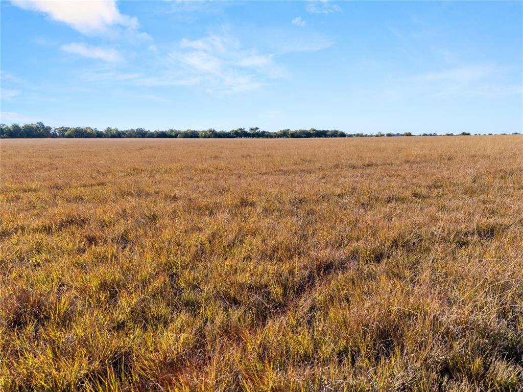 Mcgregor, TX 76657,Lot 2 TBD 26+/- ac. New Windsor Parkway