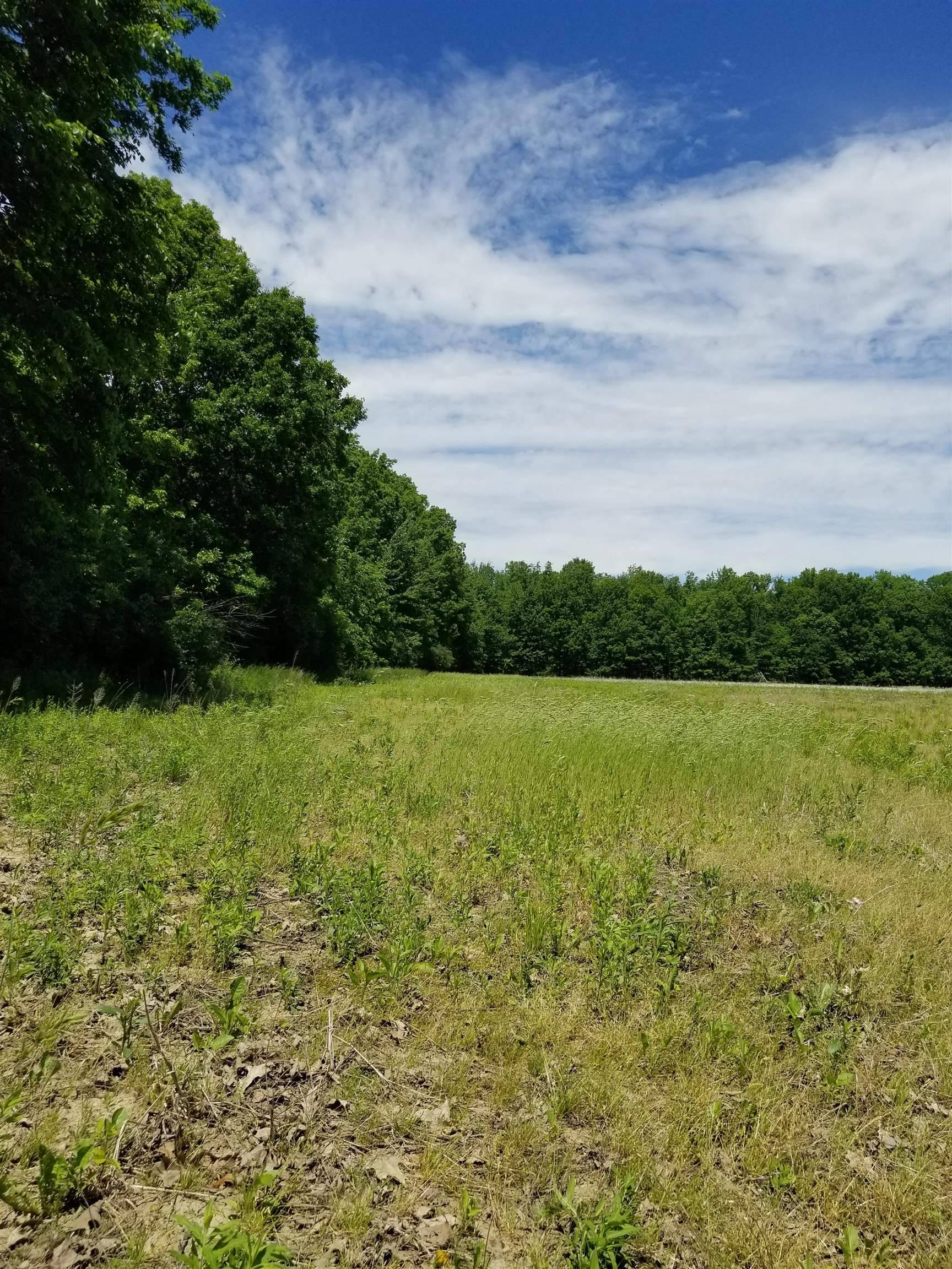 Richmond Twp, MI 48062,0 Irwin - VACANT