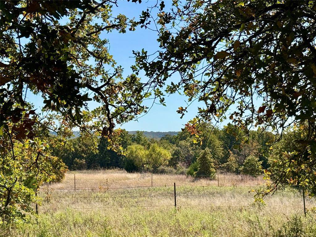 Montague, TX 76251,2753 Big Tree Road