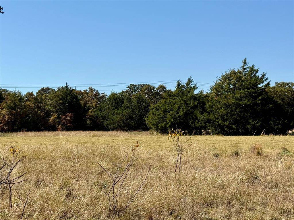 Montague, TX 76251,TBD Big Tree Road