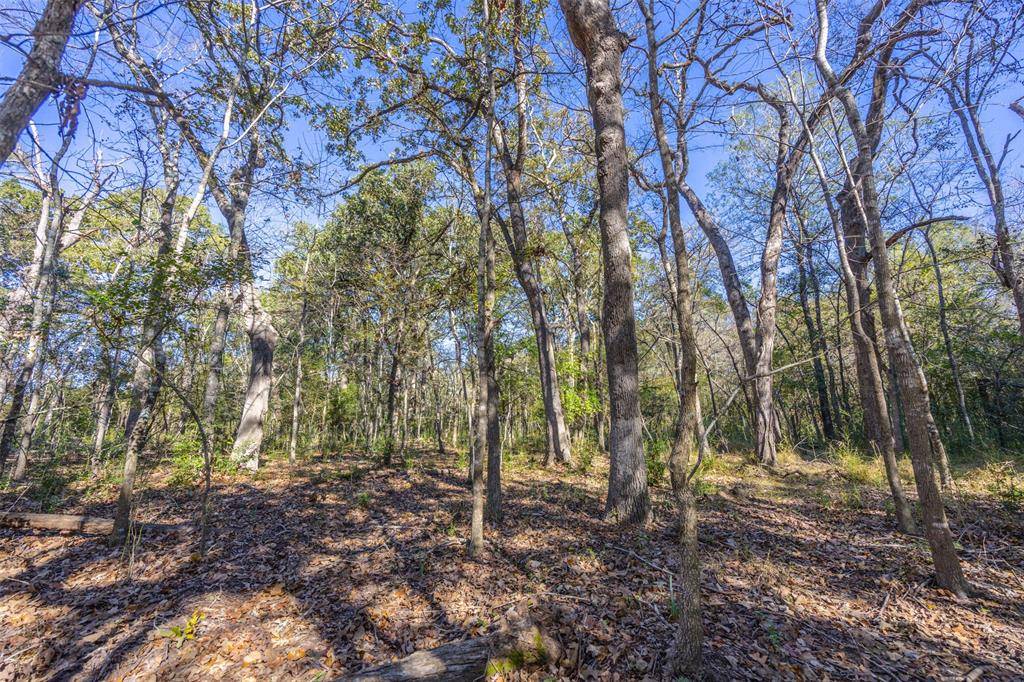 Elkhart, TX 75839,00 Anderson County Road 163