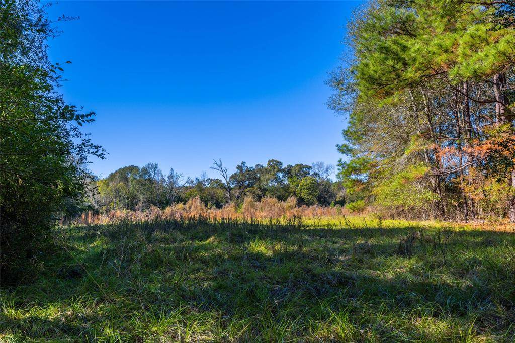 Elkhart, TX 75839,00 Anderson County Road 163