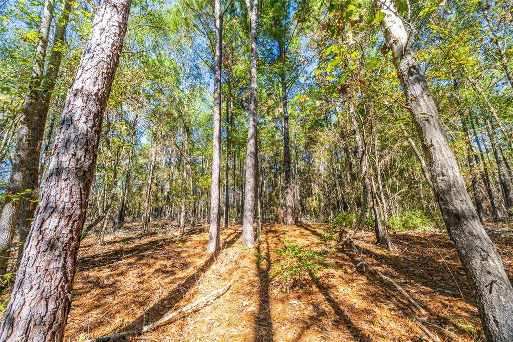 Elkhart, TX 75839,00 Anderson County Road 163