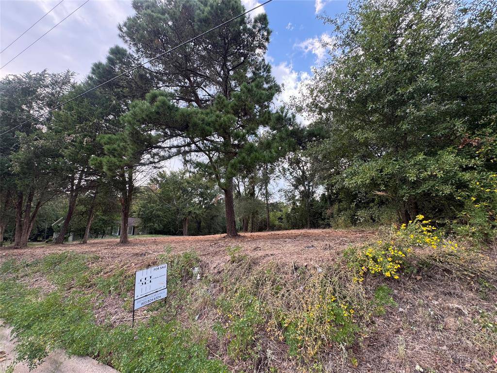 Athens, TX 75751,0 Frizzell Street