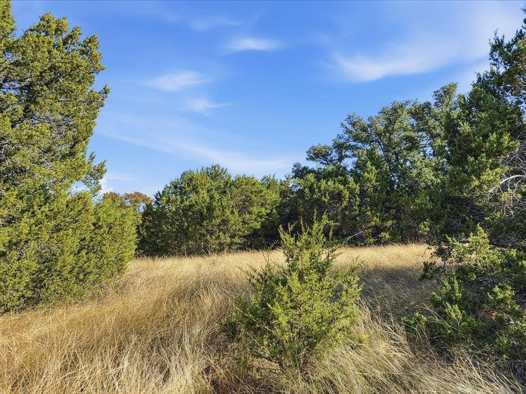 Evant, TX 76525,Lot 104 Ph 4 PR 42120