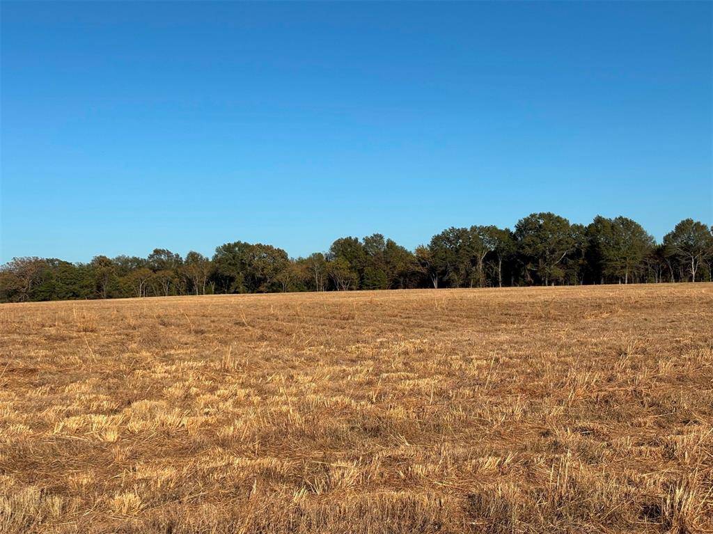 Ben Wheeler, TX 75754,000 FM 1653