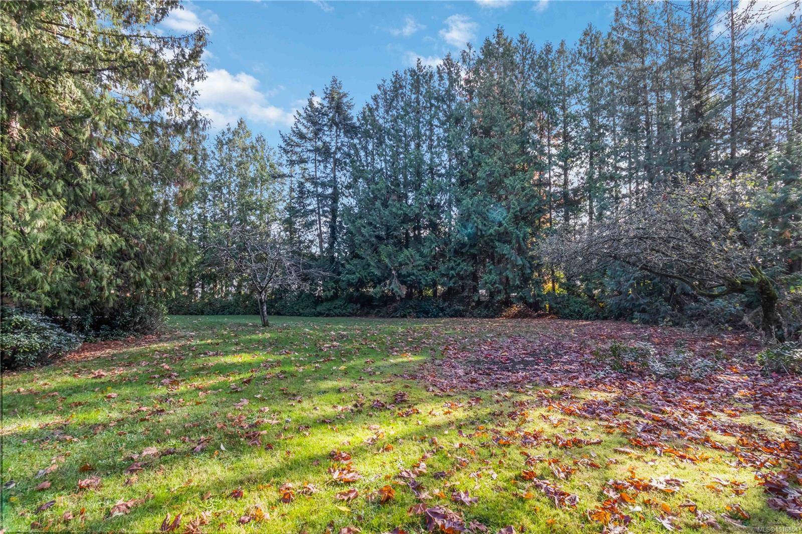 Saanich, BC V8X 2N9,4504 Pachena Pl