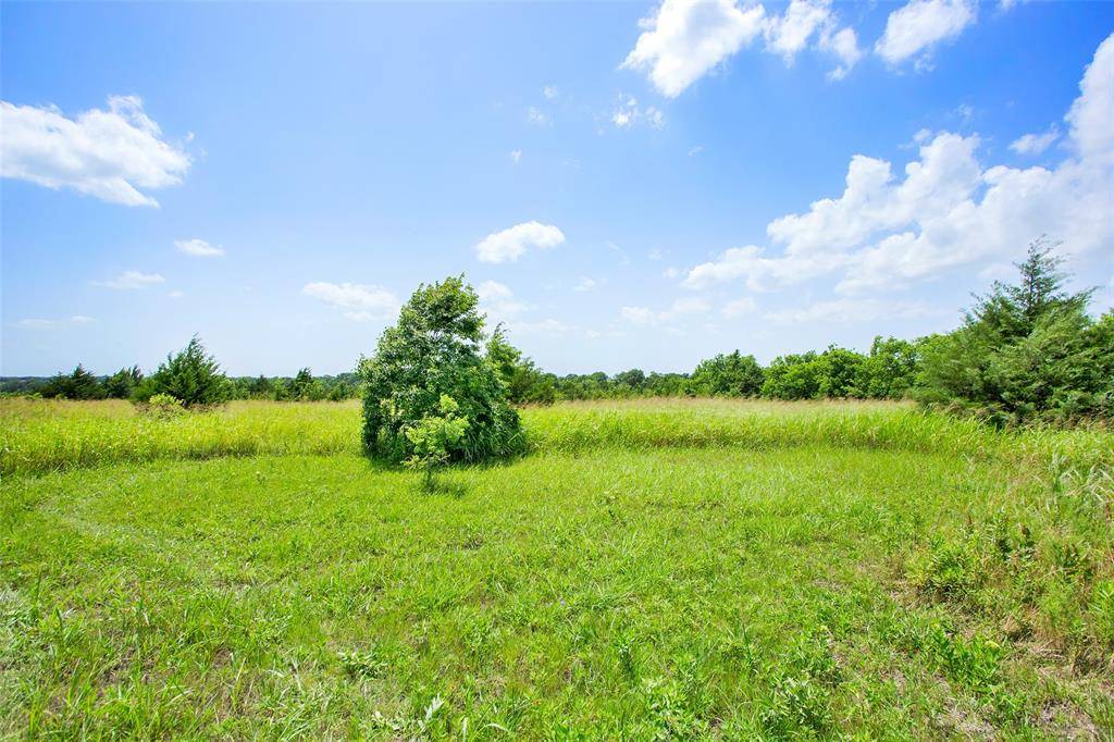 Howe, TX 75459,491 Morrison Road