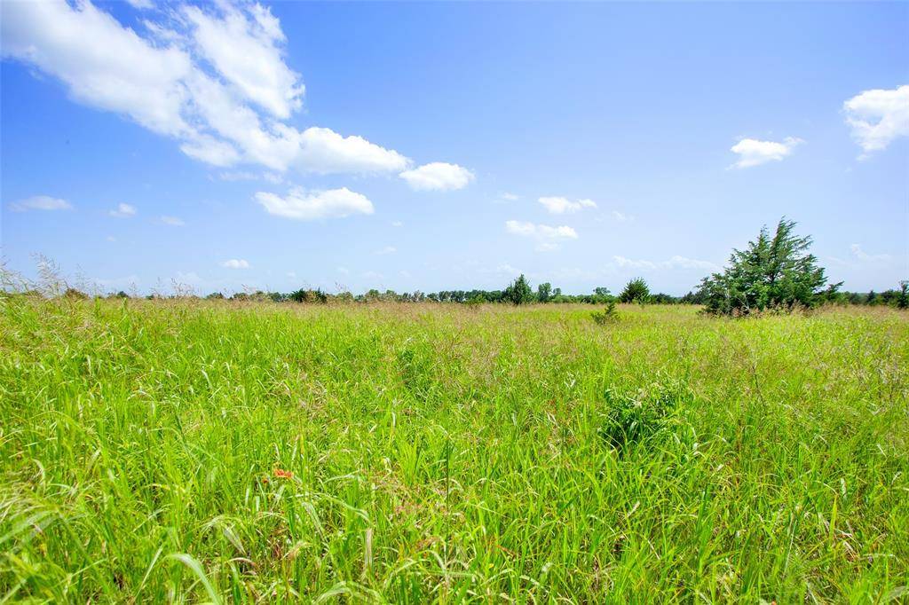 Howe, TX 75459,491 Morrison Road