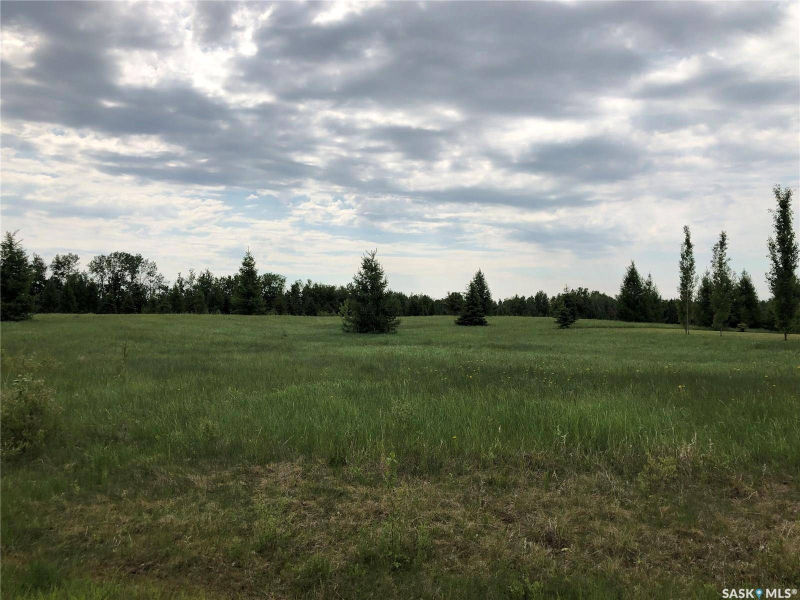 Goodsoil, SK S0M 1A0,1 Northern Meadows CRESCENT