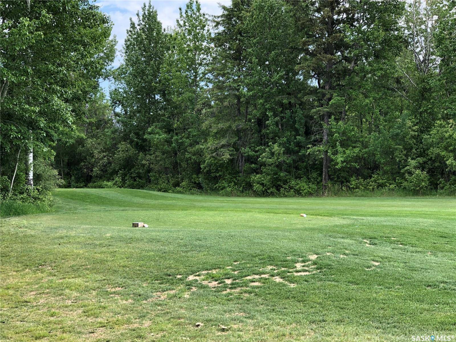 Goodsoil, SK S0M 1A0,1 Northern Meadows CRESCENT