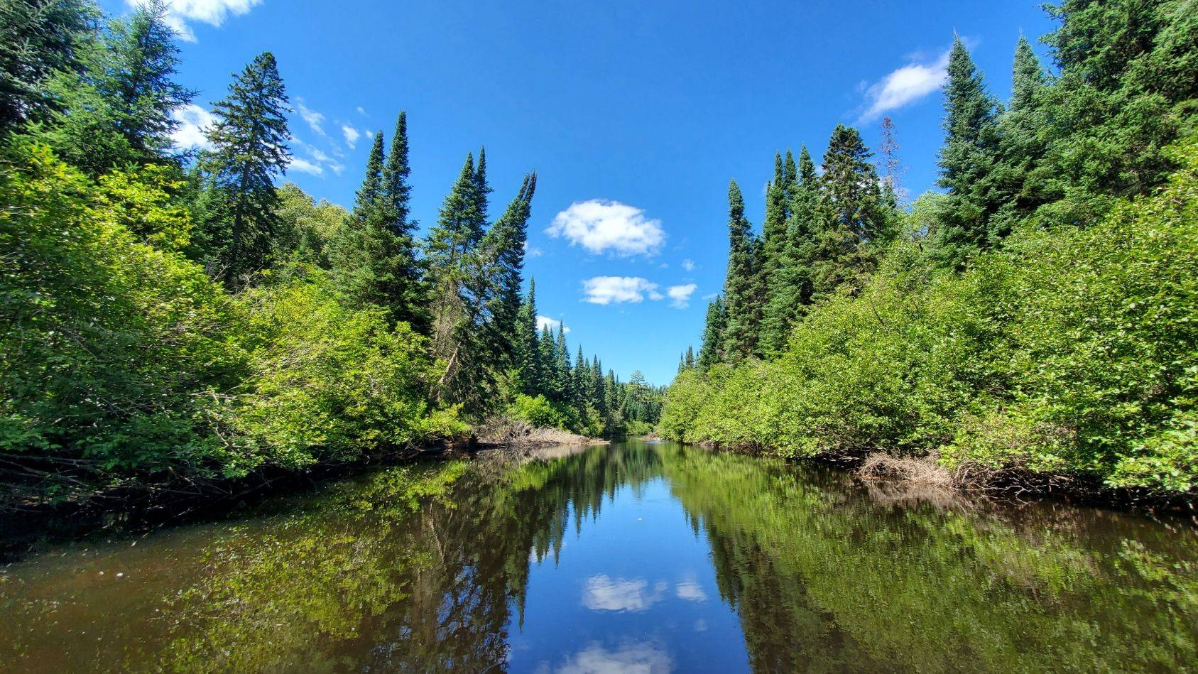 Perry, ON P0A 1J0,00 Deer Lake RD