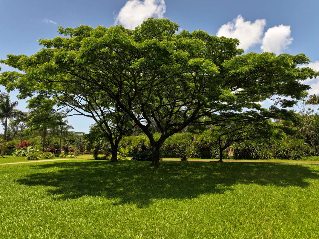 Kilauea, HI 96754,KAHILIHOLO RD