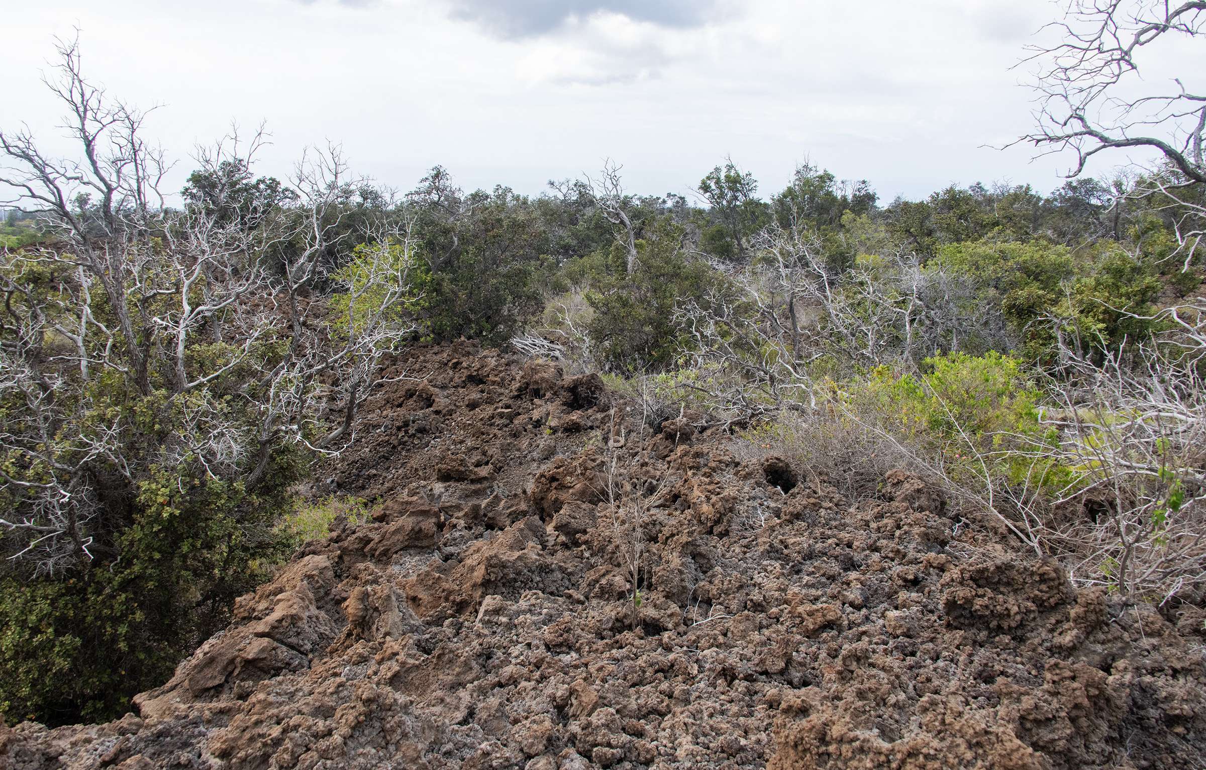 Ocean View, HI 96737,KAHILI BLVD