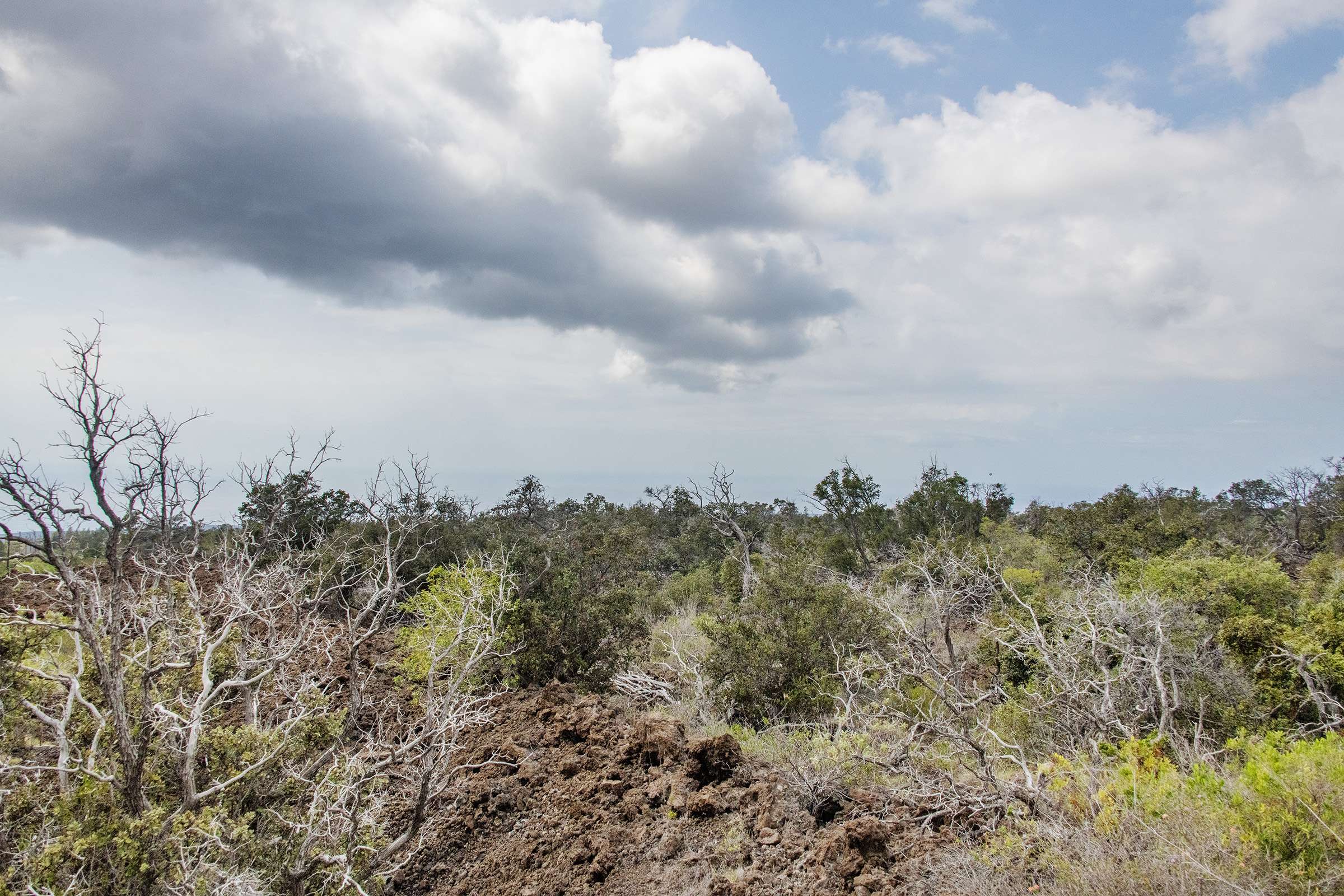 Ocean View, HI 96737,KAHILI BLVD