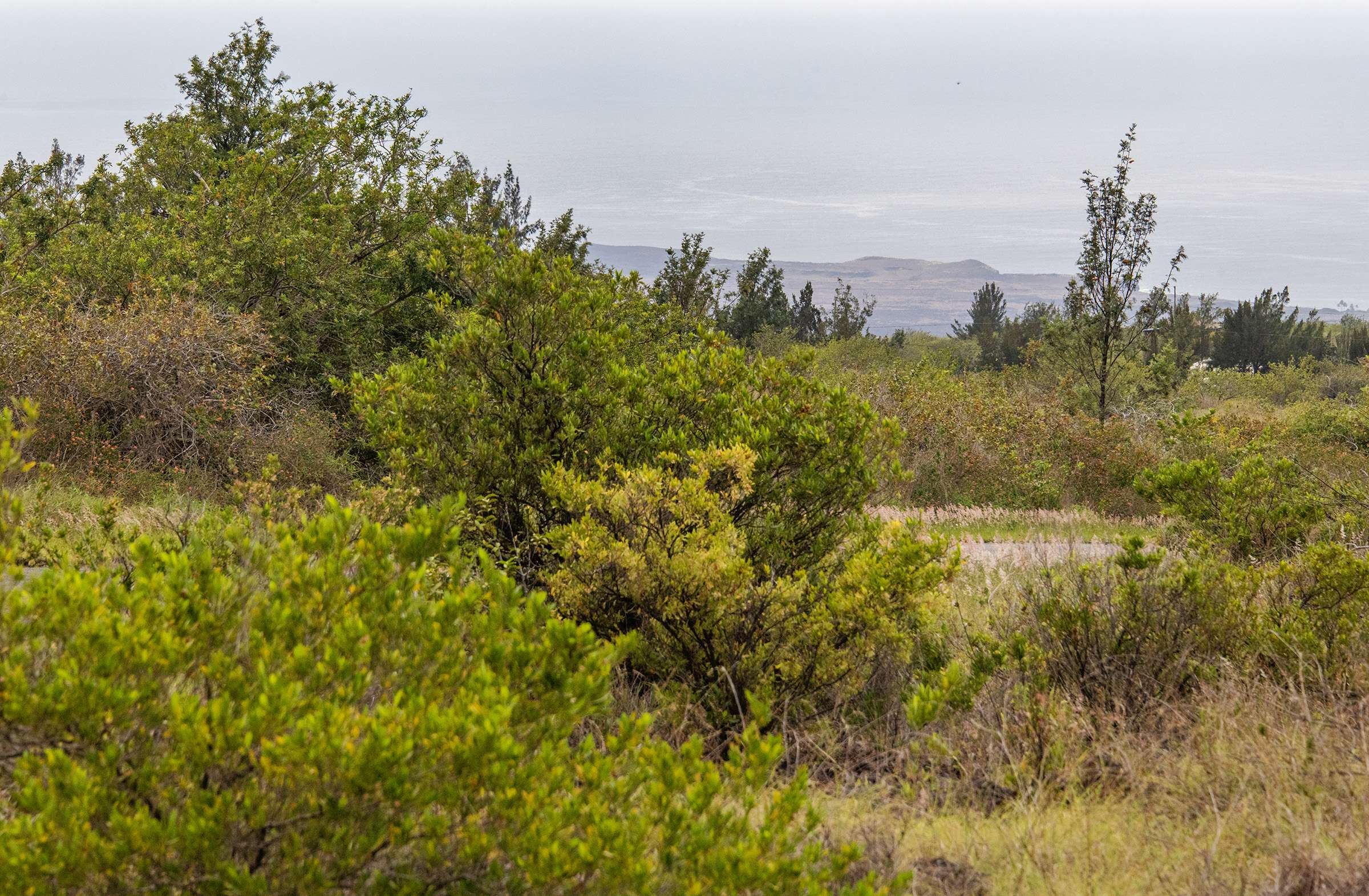 Ocean View, HI 96737,KAHILI BLVD