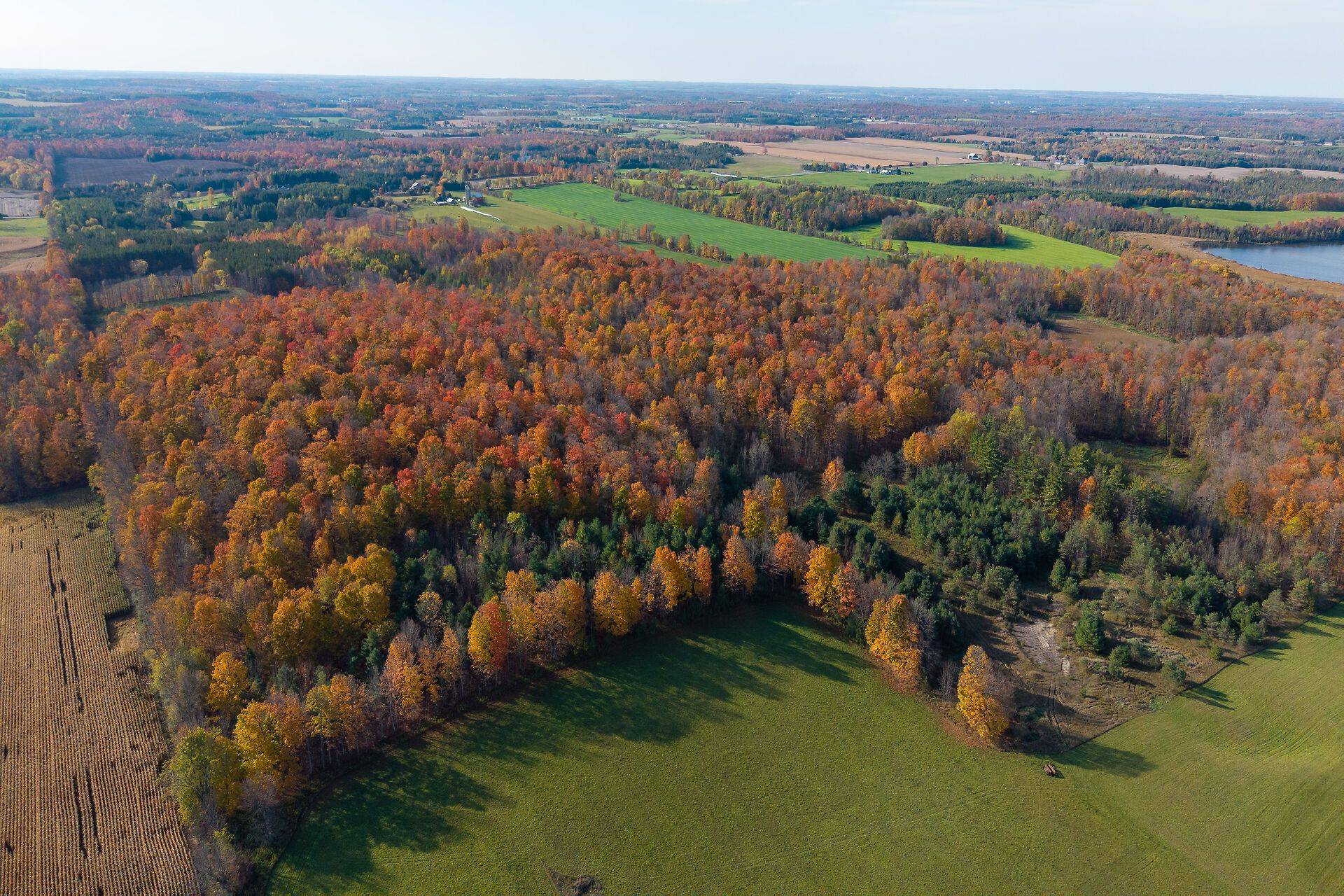 West Grey, ON N0G 1S0,442146 Concession Road 8 N/A