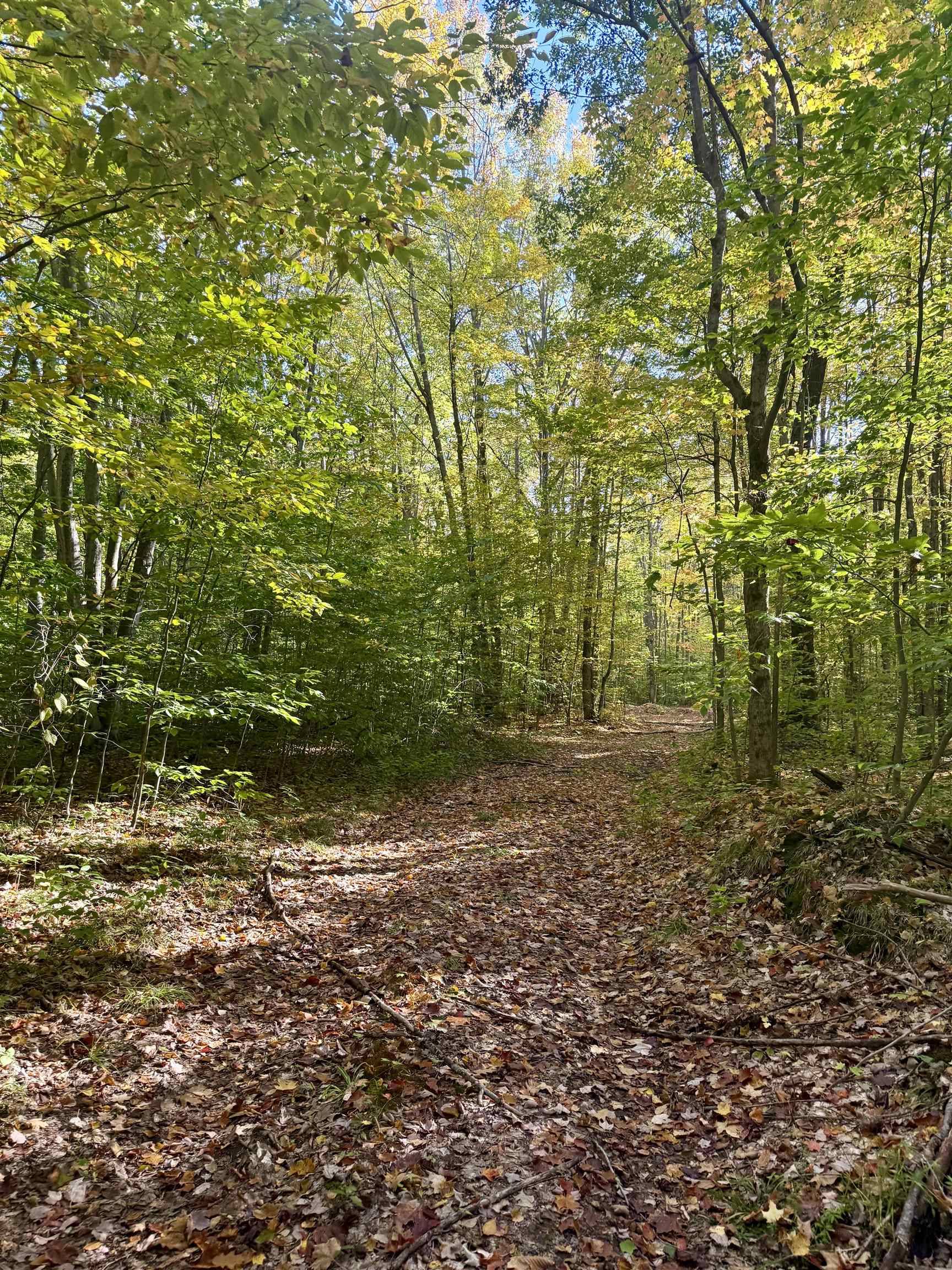 Kalkaska, MI 49646,000 Bear LN