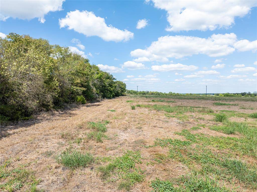 Lake Creek, TX 75450,3103 Fm 198 E