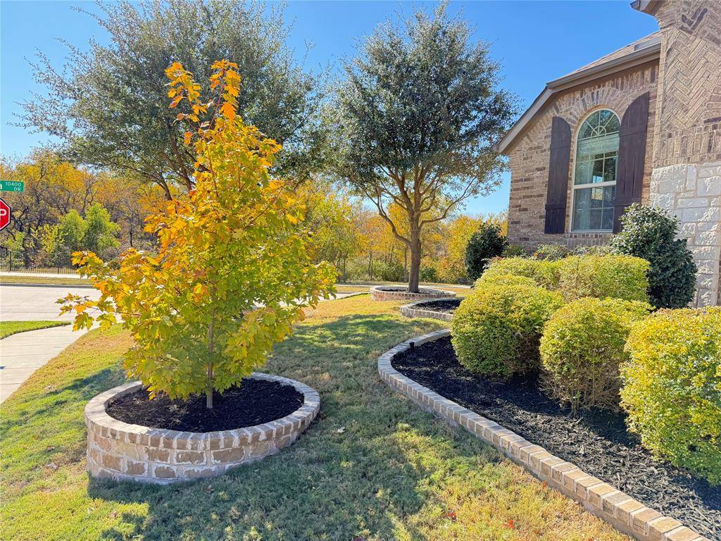 Frisco, TX 75035,13019 Lanier Drive