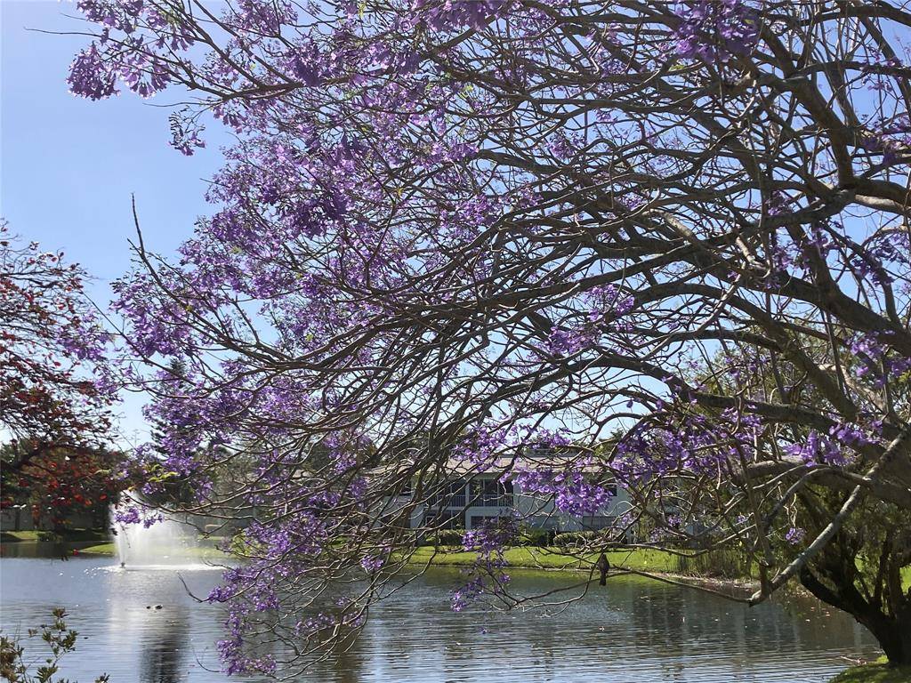 Coconut Creek, FL 33066,2710 Nassau Bnd