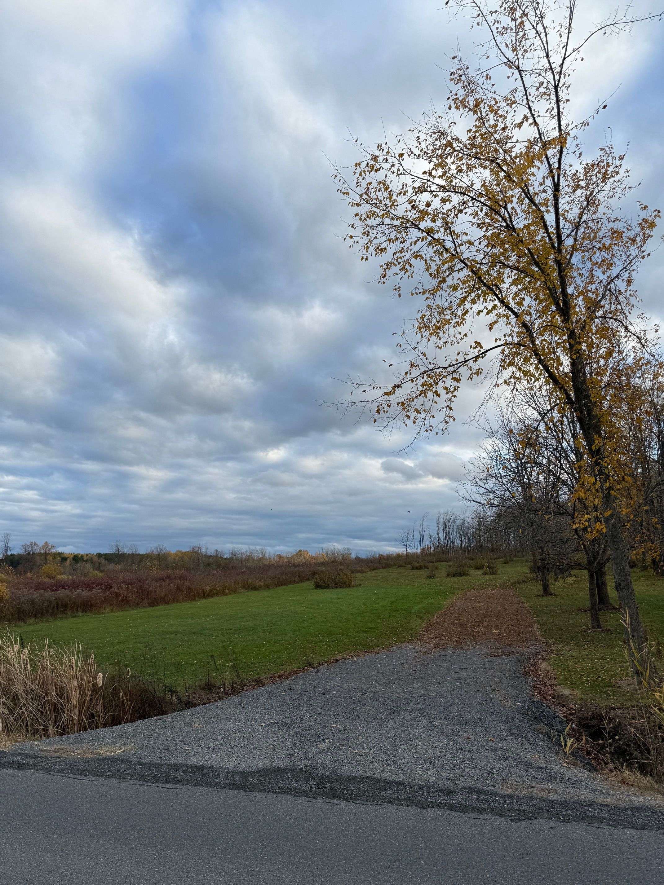 South Glengarry, ON K6H 7H9,LOT Tyotown RD