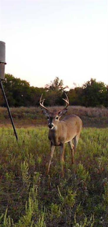 Gorman, TX 76454,1800 County Road 479