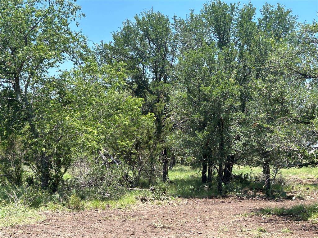 Goldthwaite, TX 76844,TBD U.S. Hwy 84 W